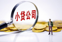 西安30个人借贷-西安30小额贷款官网-西安30身份证贷款